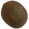 OM SHRI OM Dry Whole Coconut for Puja Indian Religious