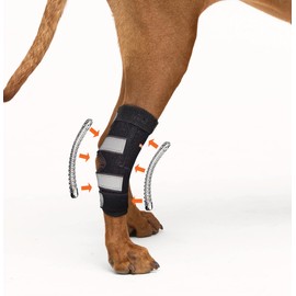 NeoAlly - Rear Leg Hock Brace with Metal Spring Strips, Dog Leg Brace for Rear Leg, Hock & Ankle Support, Rear Dog Leg Brace for Large Dogs, Long. (Right Leg, Large)