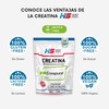 Hero Sport Creatina Monohidratada Creapure ® 800g. 100% Pura. Solo