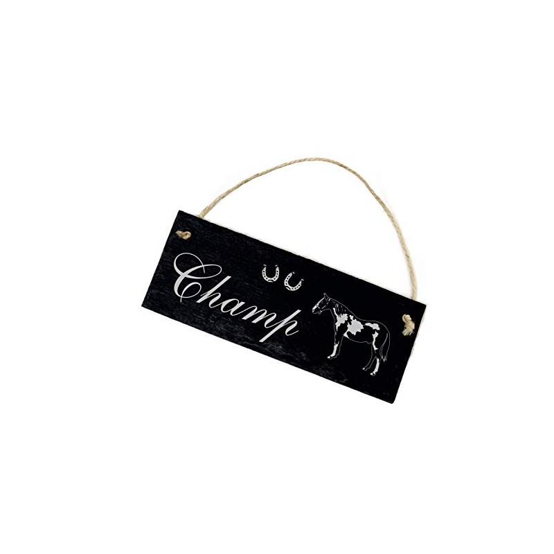 Schecke Pinto Name Plate Horse Slate Stable Board with Name