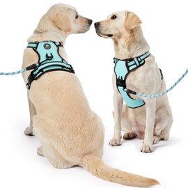 NESTROAD No Pull Dog Harness,Adjustable Oxford Dog Vest Harness with Leash,Reflective No-Choke Pet Harness with Easy Control Soft Handle for Small Dogs(Small,Turquoise)