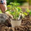 DOOPP 3.15 Inch Seedling Peat Pots, Biodegradable Seed Starters with