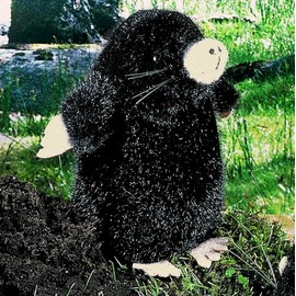 Kösener 4410 - Maulwurf Erwin, sitzend