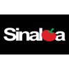 Stick It On Decals Sinaloa Car Decal/Sticker