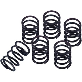 Barnett Clutch Springs (Standard) For 14-20 HONDA Grom