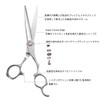 Brand: Aolanduo, 6 inch scissor for beauty students, Japanese 440C