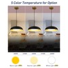 KUDOS 15 Inch Large LED Pendant Lights, Black and Gold