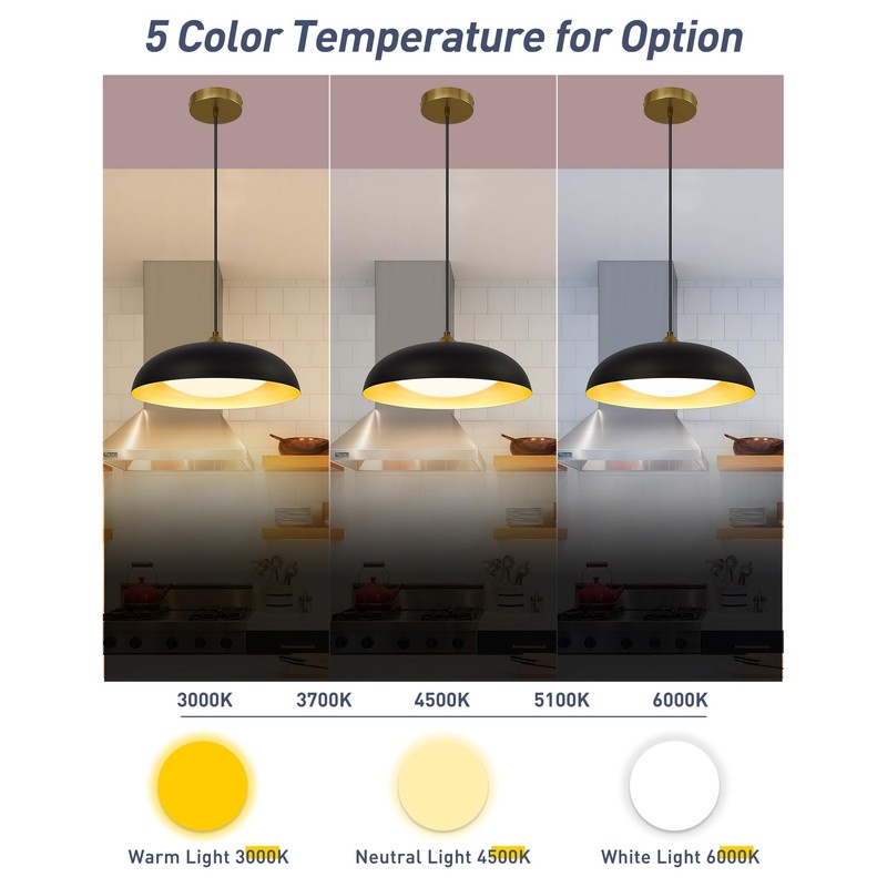 KUDOS 15 Inch Large LED Pendant Lights, Black and Gold
