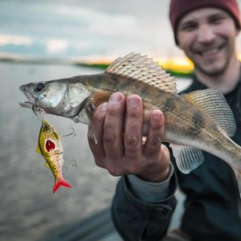 Swim Bait,Multi-Jointed Bass and Trout Lures - Innovative Fishing Bait for Lakes, Rivers, Shallow & Deep Waters