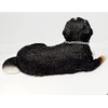 Conversation Concepts Bernese Mountain Dog Figurine MyDog