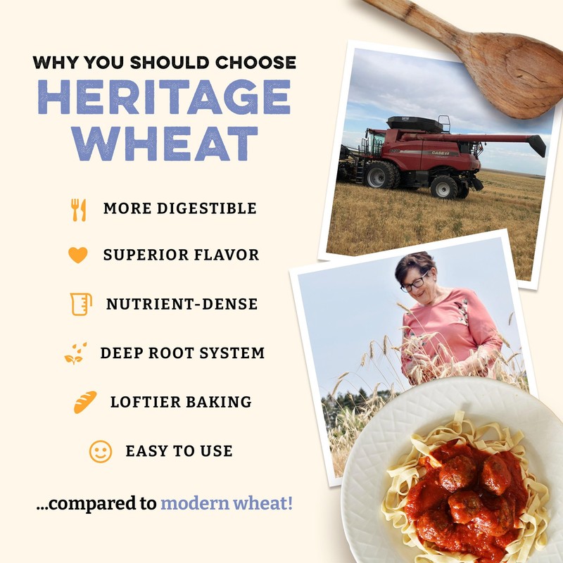 Sunrise Flour Mill USDA Organic Heritage Pasta Flour - 2
