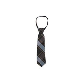 French Toast Boys' Adjustable 8-12 Size Tie, Blue & Gold Plaid