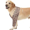 ROZKITCH Dog Surgery Recovery Sleeve Front Right Left Leg, Pet