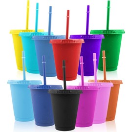 Kids Plastic Cups, 12 Pack Tumblers with Straw and Lid, 16oz Reusable Iced Coffee Cup Water Bottle for Birthdays, Party, Travel - Multi Colors