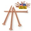 Dubbs Hardware 22-Pack Pure Copper 3.5-Inch Nail Spikes - Heavy-Duty