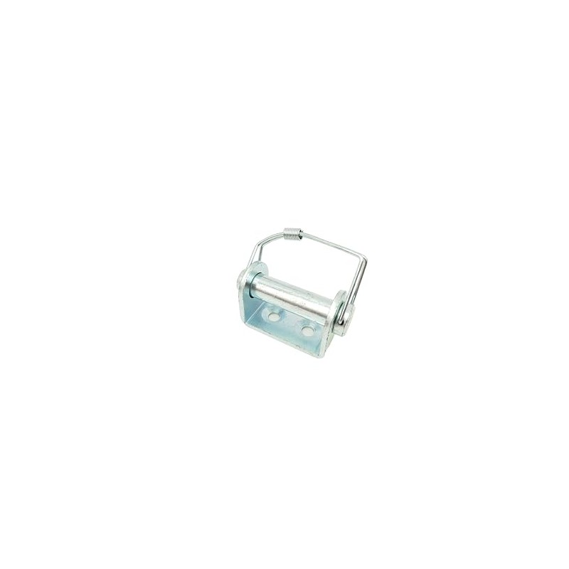 HGW 2 x Trailer Hinge with Screw-On Bracket & Spring