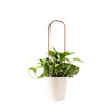 20 Pack Bamboo Trellis U-Hoop for Potted Plants - 16