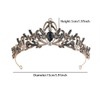 Rannyrena Silver Crystal Tiaras and Crowns for Women Sparkling Rhinestone