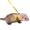 Anelekor Ferret Harness and Leash Set Small Animals Vest Harness
