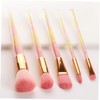 Mikinona 5pcs 1 Set Pink Makeup Brush Set with Transparent