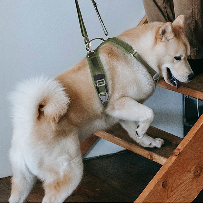 Dog Front Leg Support Sling Portable Breathable Split Auxiliary Chest