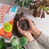 Back to the Roots 6qt Succulent & Cacti Mix