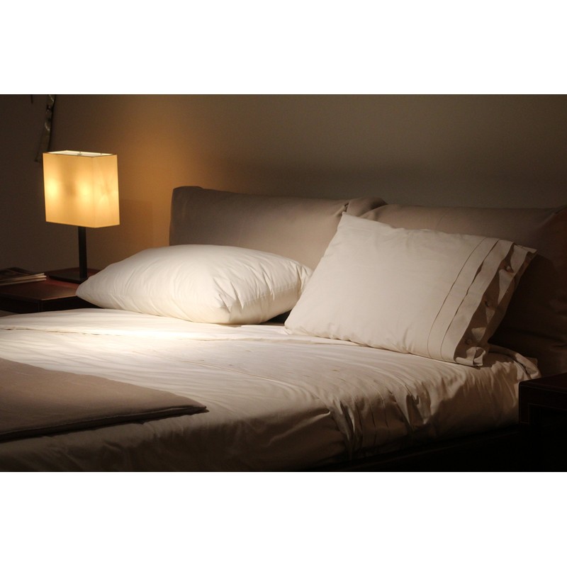 Miracle LED Sleep Study 9W LED Night Time Light Bulb