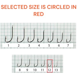 PRO FILSTAR 20 Pieces Fishing Hook Set N12 - Carp Fishing Hooks - Carp Fishing Accessories - Barbed Carp Hooks - Carp Fishing Straight Hooks - Carp Rigs - Fishing Accessories - Method Feeder -