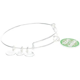 Alex and Ani Expandable Bangle for Women, Today is Sublime Charm, Shiny Silver Finish, 2 to 3.5 in