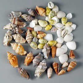 Shell Mix Mini