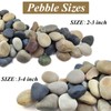 FANTIAN 40 lbs Natural Unpolished Bulk Rocks Mexican Beach Pebbles,