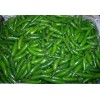 PEPPER SERRANO PEPPER * DISTINCTIVE FLAVORED * HOT * EVERBEARING