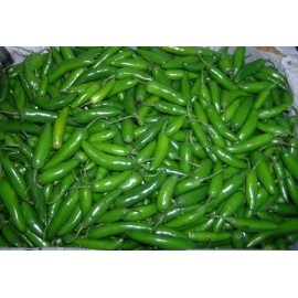 PEPPER SERRANO PEPPER * DISTINCTIVE FLAVORED * HOT * EVERBEARING * PICO DE GALLO *