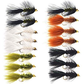 Woolly Bugger Trout Fly Fishing Streamer Assortment (15 Pack Size #6)