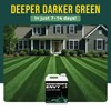 PetraMax Neighbor’s Envy Grass Fertilizer for Lawn & Garden, 64