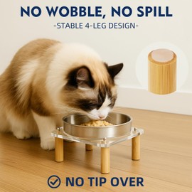 DoogCat Elevated Cat Bowls for Indoor Cats – Raised Acrylic Cat Bowl Stand with 5.5 Inch Wide Stainless Steel Dishes, Pet Food Table Plate for Easy Feeding, Whisker Friendly(Silver,Set of 2)