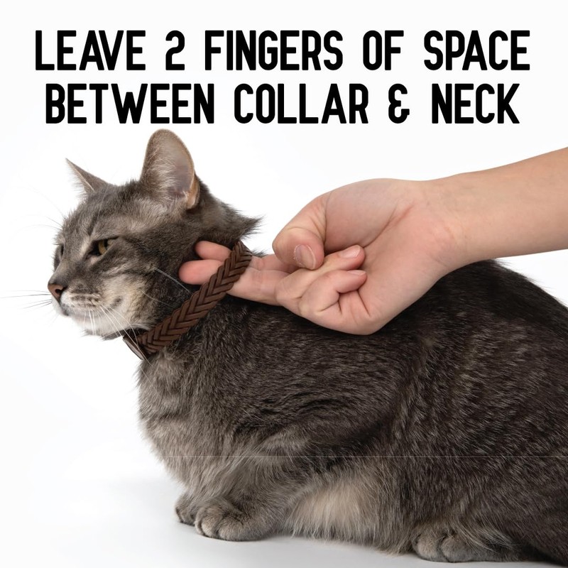 ACTIVPHY Hip + Joint Mobility Collar for Cats with Glucosamine,
