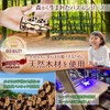 MY MiYAVi Large Treasure Chest Dial Lock Piggy Bank Secret