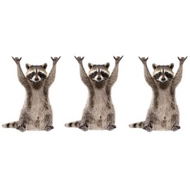 3pcs Small Rocking Raccoon Sticker, 3 inches - Funny Raccoon Cute Car Decal for Yeti Cup Vinyl Cooling Box, Waterproof Sticker, Laptop Window Bumper Sticker