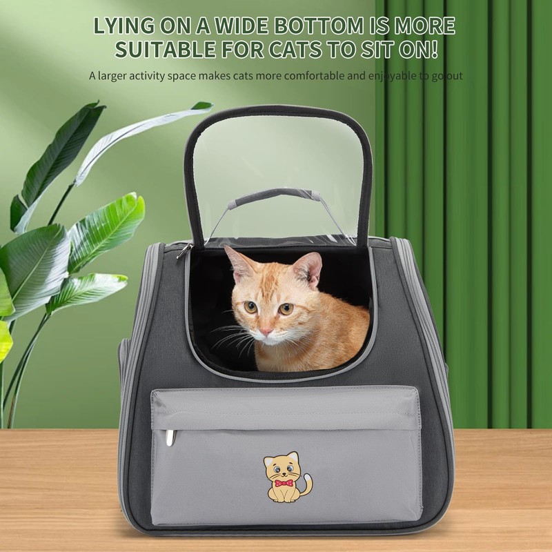 Pet Carrier Backpack with Bubble Window, Astronaut Design, Mint Black