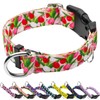 Fidohug Martingale Collar for Dogs with Buckle Floral No Pull