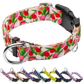 Fidohug Martingale Collar for Dogs with Buckle Floral No Pull Adjustable Nylon Limited Slip Training Dog Collars Pink Tulip, Large