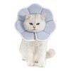 Avont Elizabeth Collar for Dogs and Cats, Soft and Lightweight