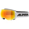 ALPINA Sports Naator HM A7269 8 11 Ski Goggles Plastic/Polycarbonate