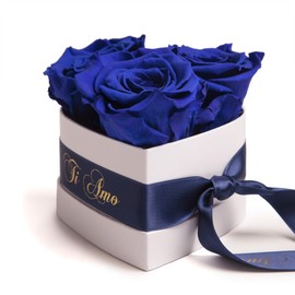 ROSEMARIE SCHULZ Heidelberg Infinity Rose Box Heart - 10 x 12 cm 3 Preserved Roses Durable 3 Years Women - Best Friend Gifts (Ti Amo, Blue)