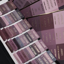 UPAFEXXI-Laminated Bible Tabs with Book Summaries(Gold Foil Embossed Lettering), Bible Tabs for Women and Men, Reposition Large Print Stickers, Easy to Read, 80Chapters Labels for Easy Navigation