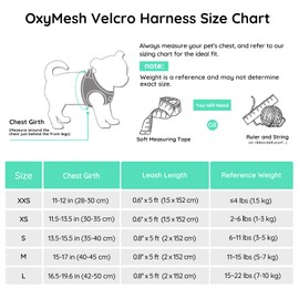 BELLA & PAL Dog Harness and Leash Set, Step-in Puppy Harness, Breathable Air Mesh with Reflective Strips, No Pull Vest for Puppies/Extra Small/Small Dogs, Mint, XXS