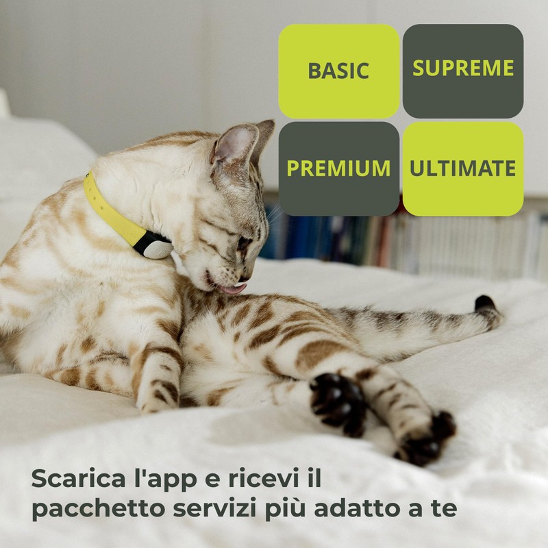 KIPPY - Cat GPS Tracker Kippy CAT COLOR - Locator