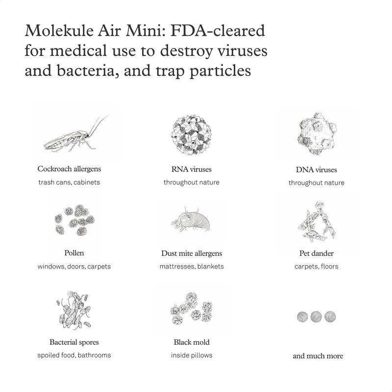 Molekule Air Mini & Air Mini+ – PECO-Filter