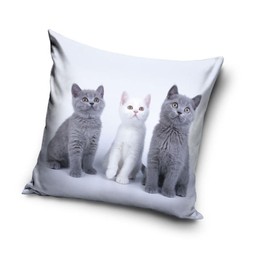 Cat Baby Motif Cushion Cover 40 x 40 cm (PNL231182)